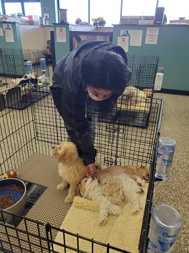 Pet Supply Store «Pet Ranch», reviews and photos, 3823 E 120th Ave, Denver, CO 80233, USA