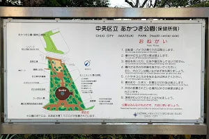 Chuo Kuritsu Akatsuki Park image