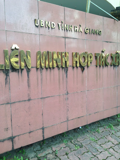 Liên Minh Hợp Tác Xã