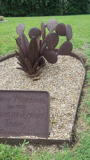 Museum «Old Post Office Museum-Art Center», reviews and photos, 510 3rd St, Graham, TX 76450, USA