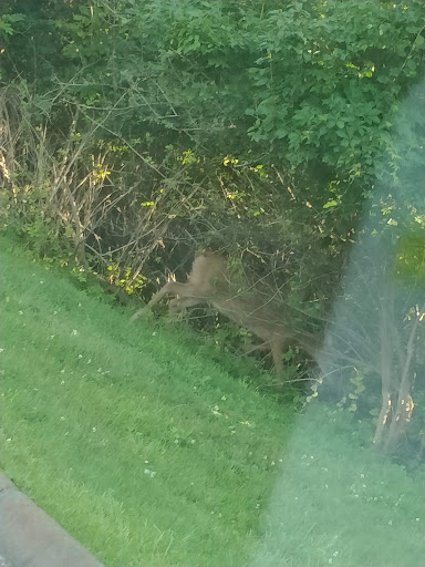 Moving and Storage Service «Main Street Movers», reviews and photos, 708 S 21st St, Irvington, NJ 07111, USA