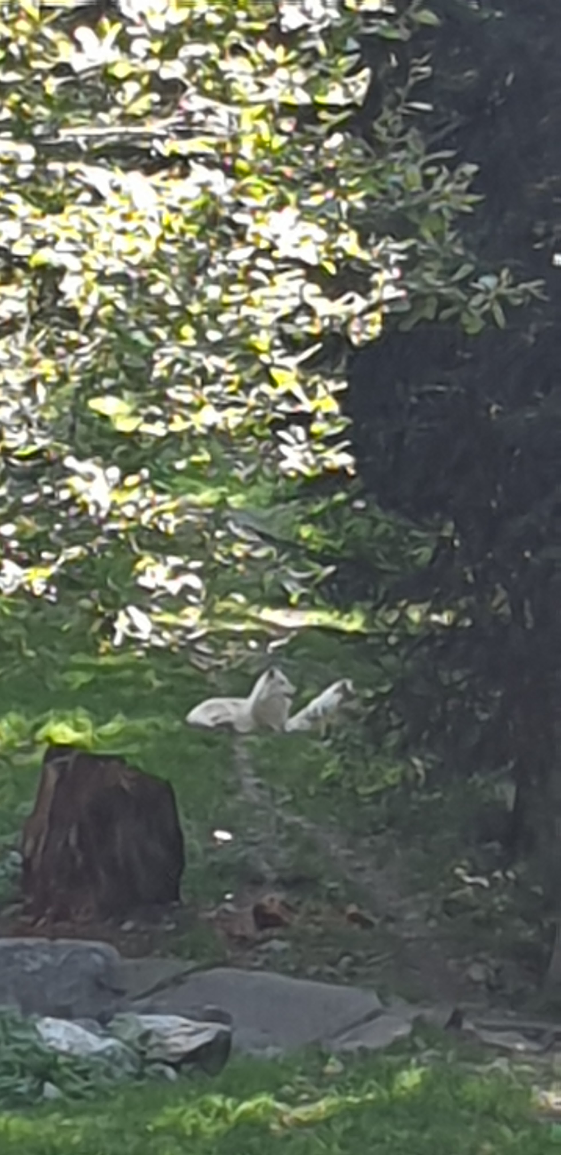 Photo n° 2 de l'avis de peggy.o fait le 07/10/2020 à 06:30