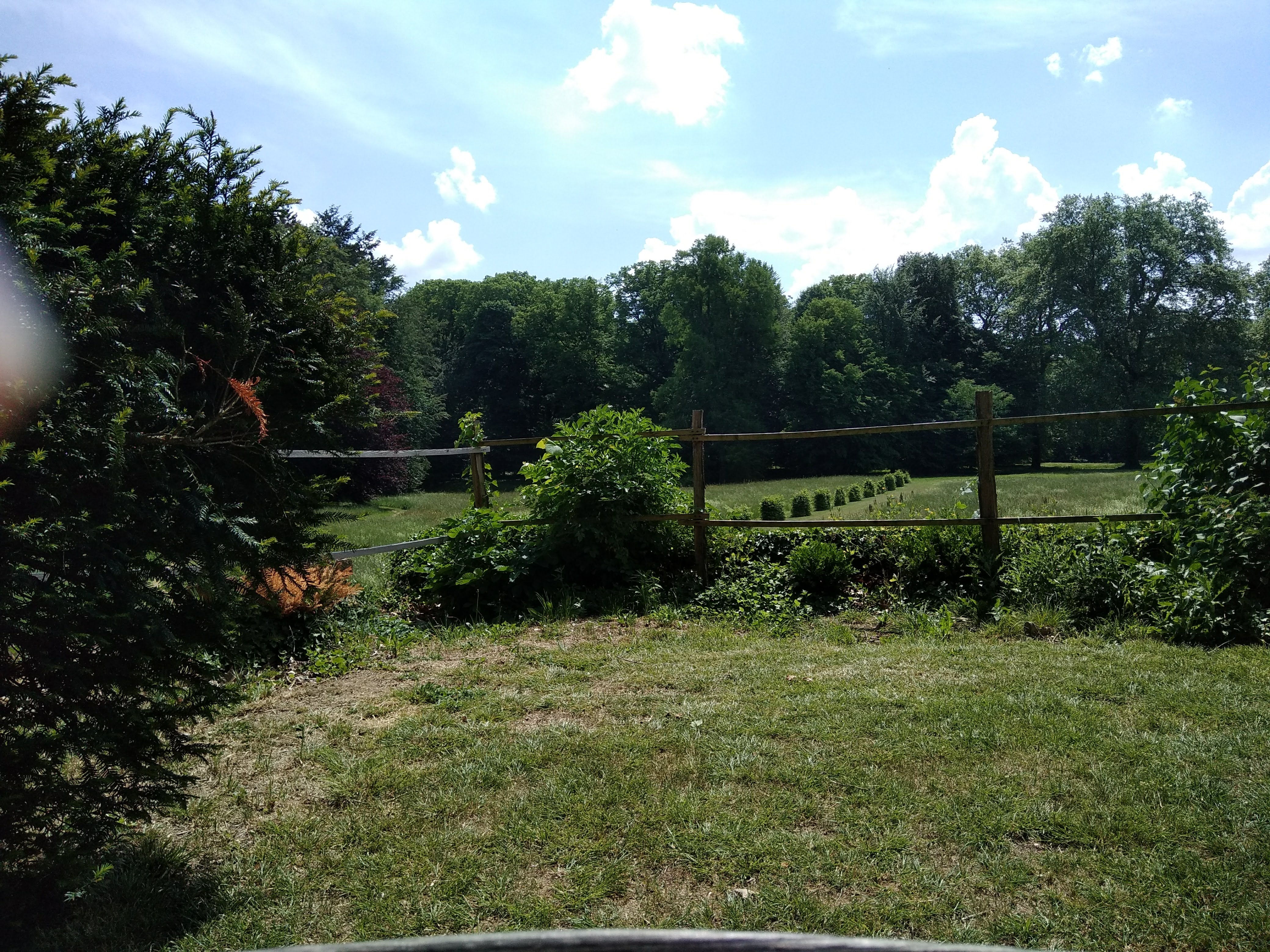 Photo n° 25 de l'avis de Rafaël. fait le 08/05/2018 à 11:48