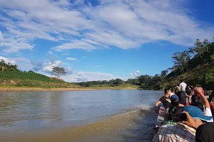Patuca National Park image