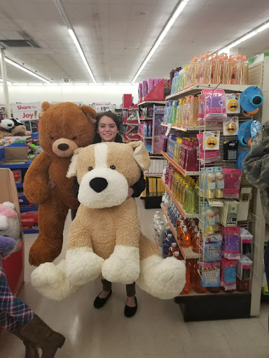 Discount Store «Big Lots», reviews and photos, 1090 Millwood Pike, Winchester, VA 22602, USA