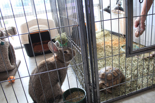 Pet Store «Pet World - Auburndale», reviews and photos, 3637 Havendale Blvd, Auburndale, FL 33823, USA