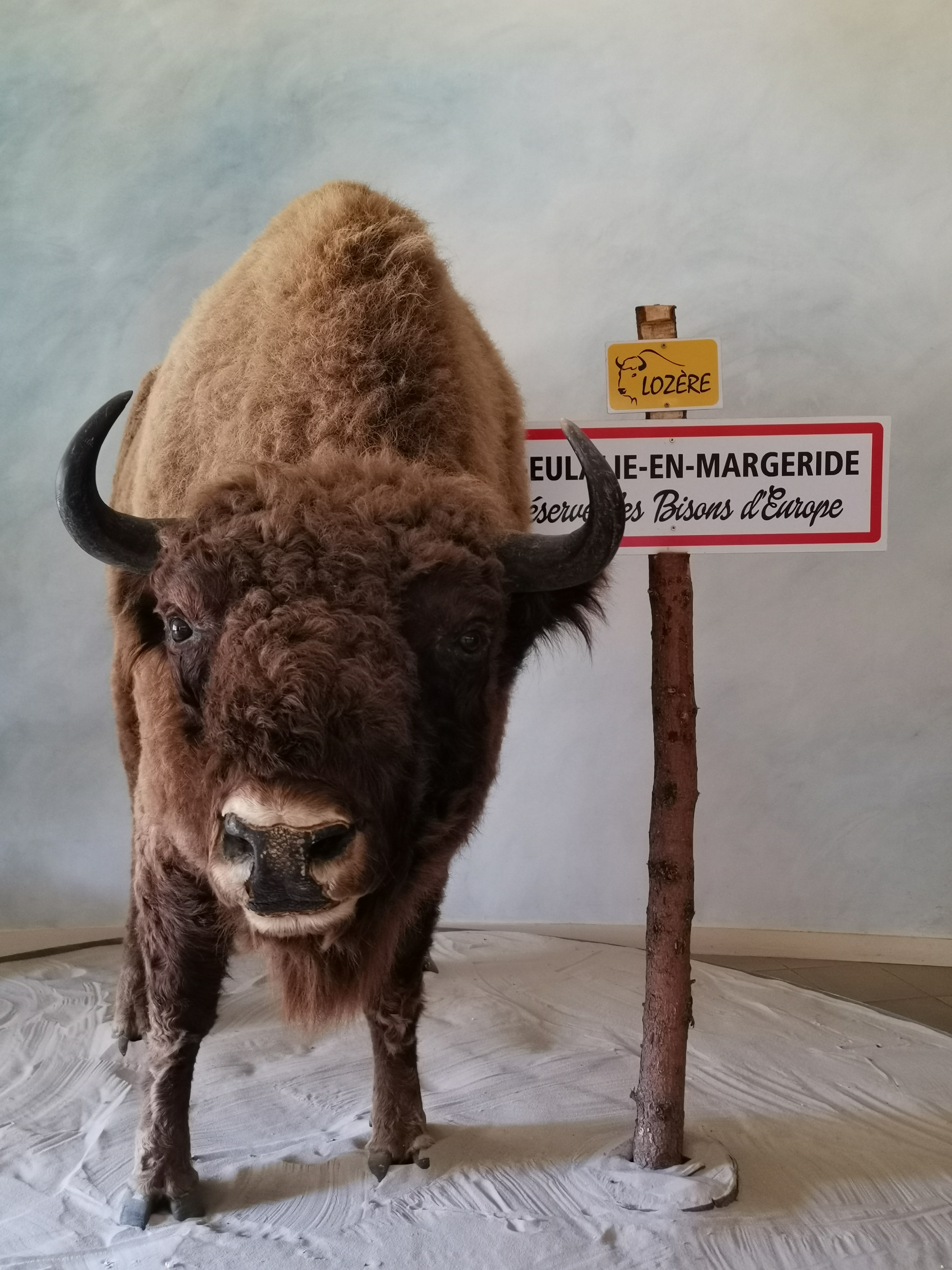 Photo n° 3 de l'avis de Hugo. fait le 25/08/2020 à 07:35