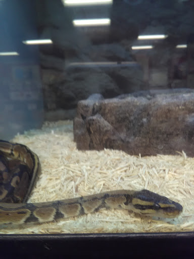 Pet Supply Store «Petco Animal Supplies», reviews and photos, 1150 El Camino Real #167, San Bruno, CA 94066, USA