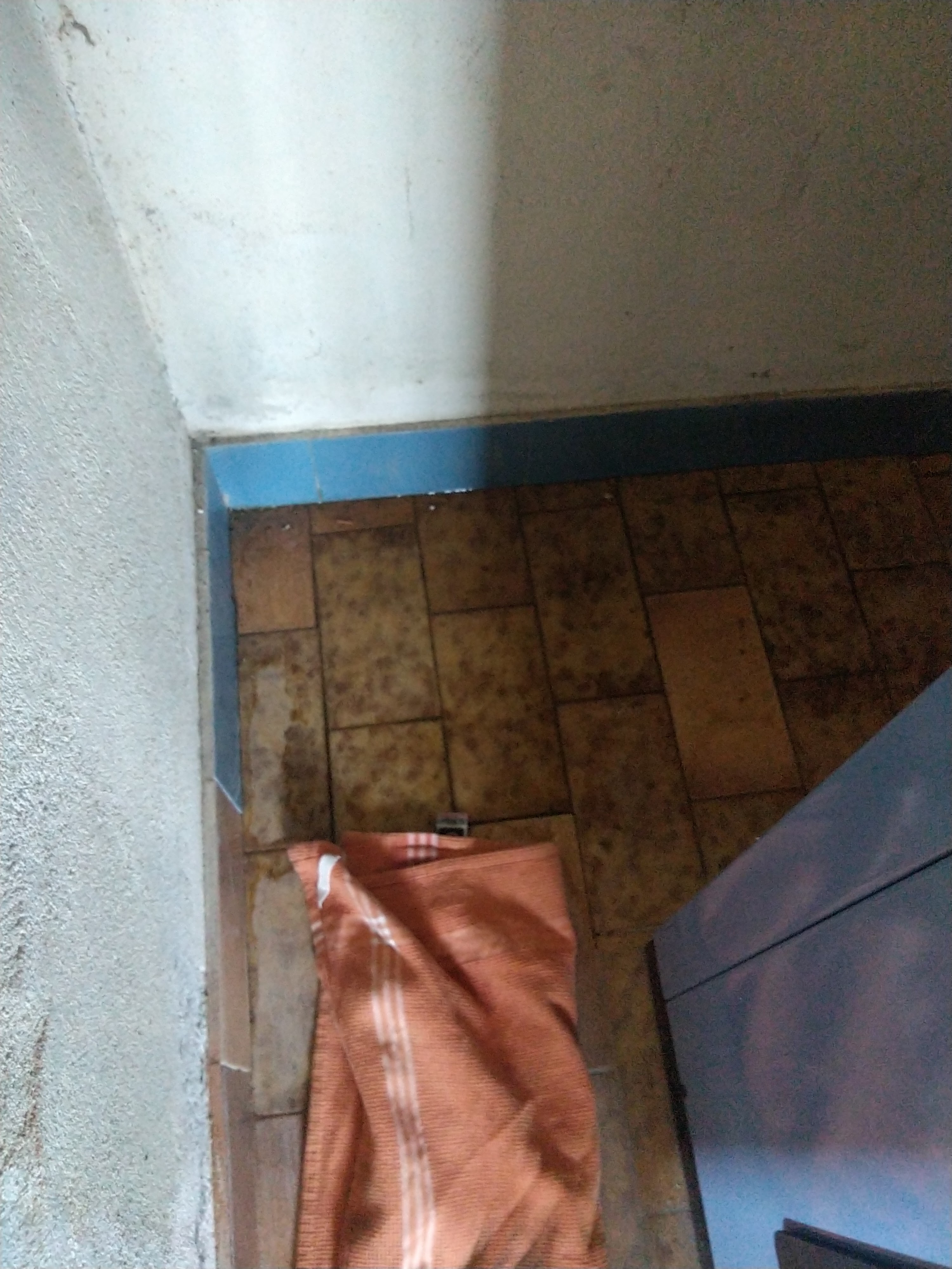 Photo n° 6 de l'avis de Rene.a fait le 23/05/2023 à 12:43