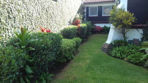 Logo da empresa - Jardins ebenezer
