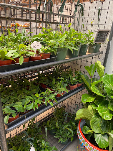 Florist «Plant Safari», reviews and photos, 653 N Central Ave, Upland, CA 91786, USA