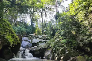 Cascada Oido del Mundo, Minca Sierra Nevada image