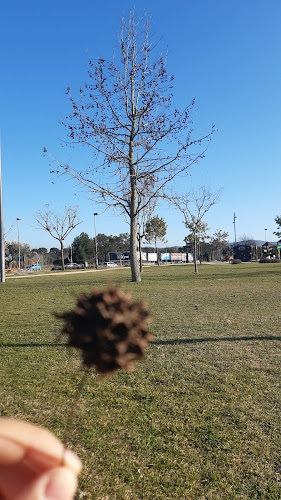 Parque da Vila - Campo de futebol