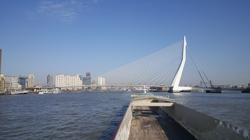 View on Erasmusbrug