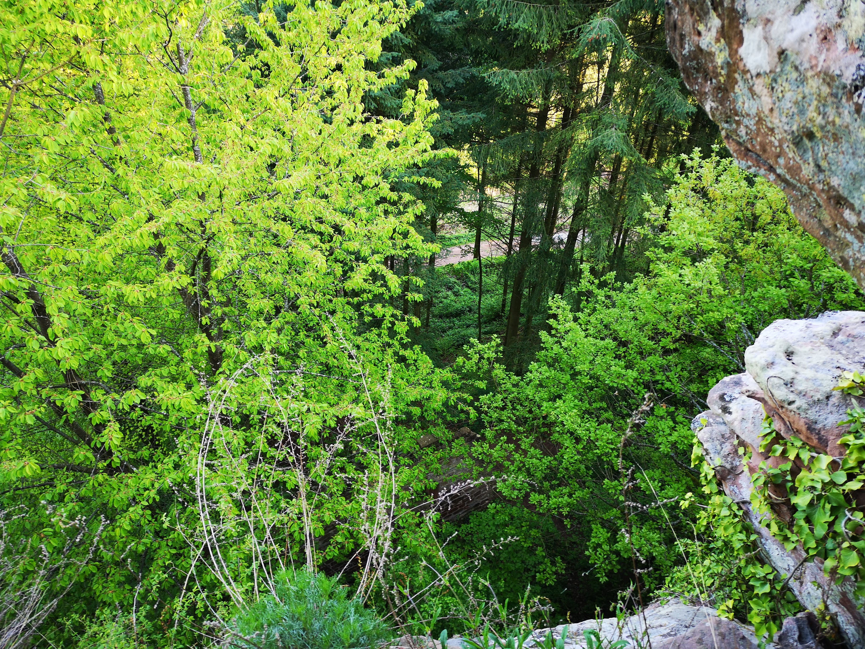 Photo n° 5 de l'avis de Jiri.a fait le 10/05/2019 à 07:54