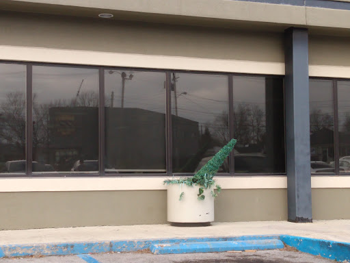 Blood Donation Center «CSL Plasma», reviews and photos