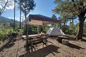 Reef Campground image