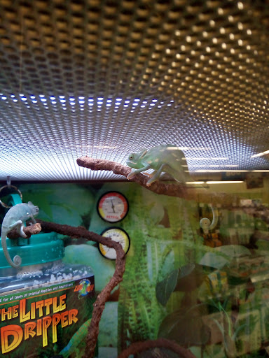 Pet Supply Store «Petco Animal Supplies», reviews and photos, 1704 US Hwy 27 S, Sebring, FL 33870, USA