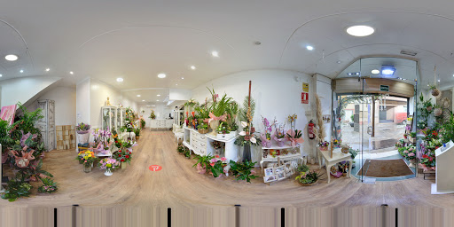 Street View y 360°