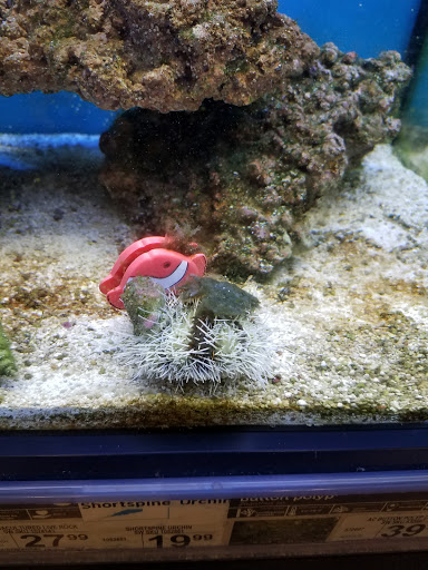 Pet Supply Store «Petco Animal Supplies», reviews and photos, 7215 170th Ave NE #115, Redmond, WA 98052, USA