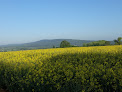 ASL Tir à l'arc (UFOLEP) Condé-sur-Sarthe