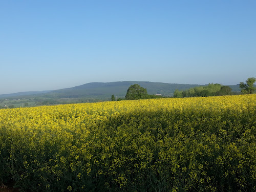 ASL Tir à l'arc (UFOLEP) à Condé-sur-Sarthe