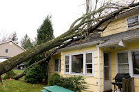 America Property Claims - Photo 3 - Car repair in Hollywood, FL, Hollywood