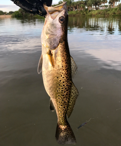 Sporting Goods Store «KAYAKS BY BO INC.», reviews and photos, 410 S Hopkins Ave, Titusville, FL 32796, USA