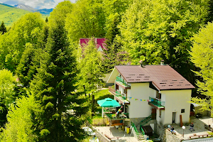 Ski Hut Gorica image