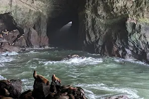 Sea Lion Caves image