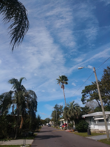 Car Battery Store «Batteries Plus Bulbs», reviews and photos, 28560 US Hwy 19 N, Clearwater, FL 33761, USA