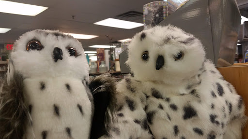 Book Store «Browseabout Books», reviews and photos, 133 Rehoboth Ave, Rehoboth Beach, DE 19971, USA