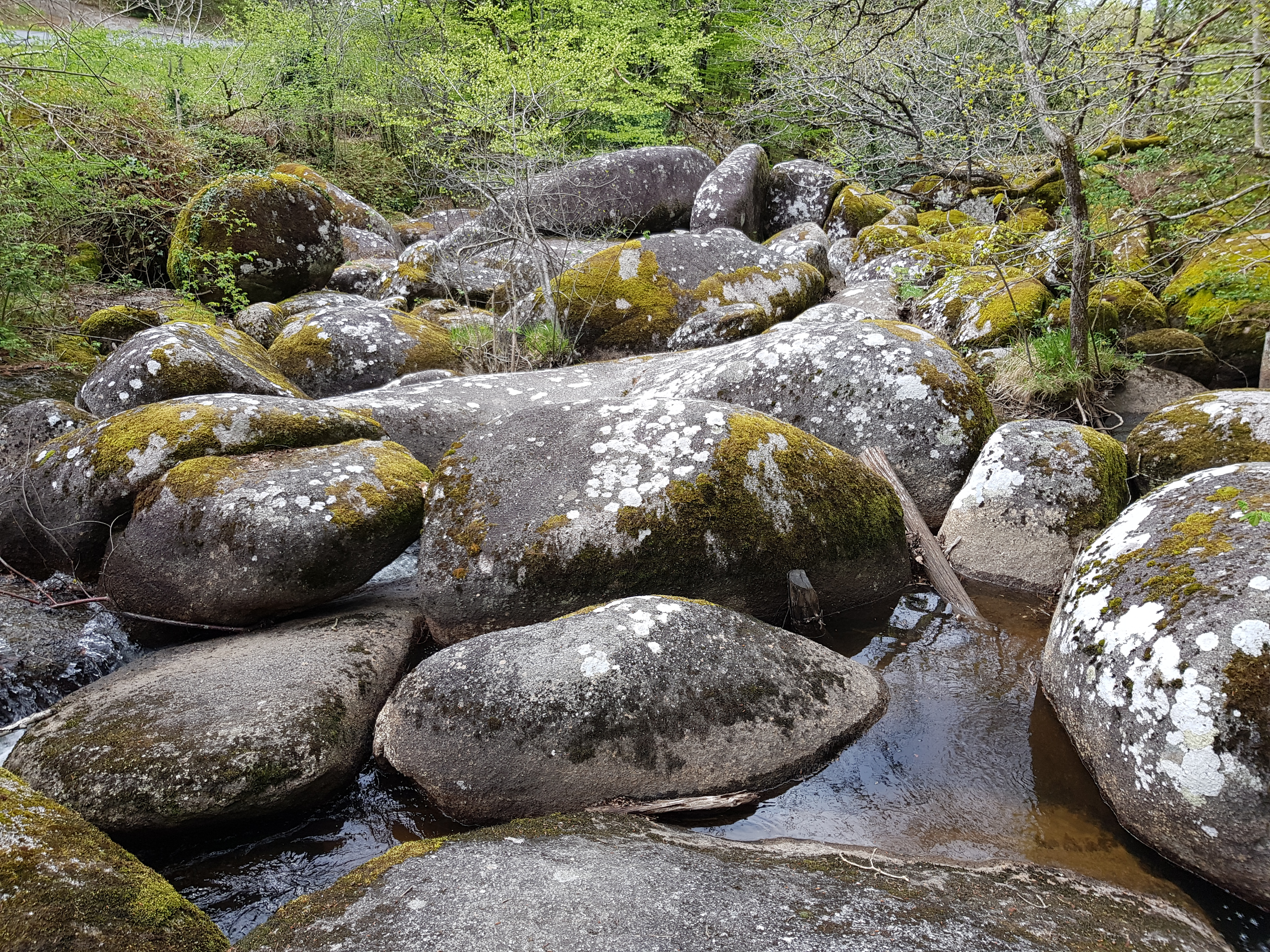 Photo n° 1 de l'avis de Eric.E fait le 02/05/2019 à 20:53