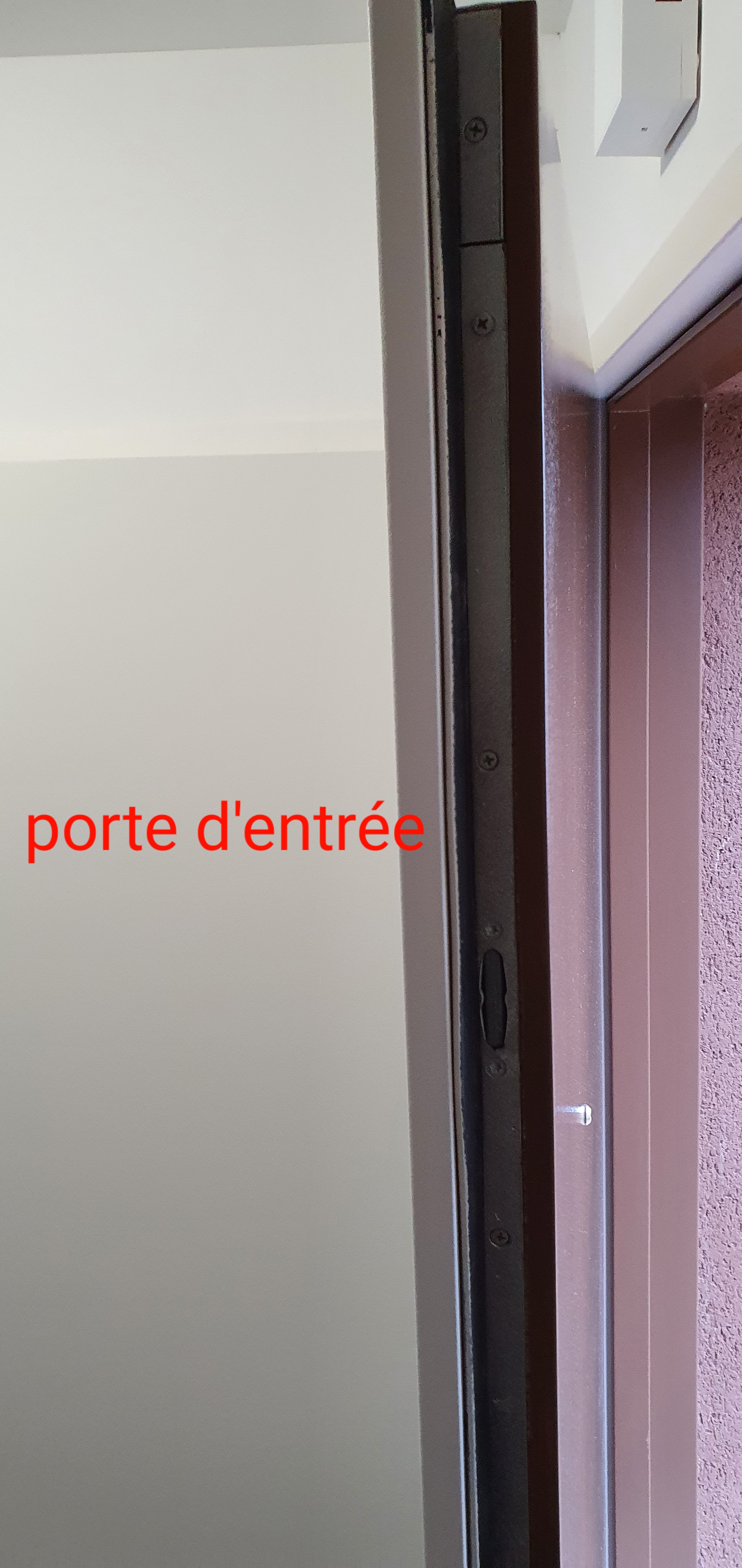 Photo n° 7 de l'avis de co.o fait le 19/03/2021 à 16:42