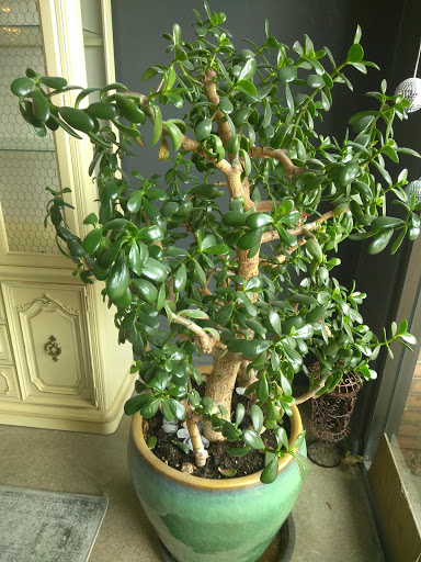 Beauty Salon «Salon Mischa», reviews and photos, 3136 Biddle Ave, Wyandotte, MI 48192, USA