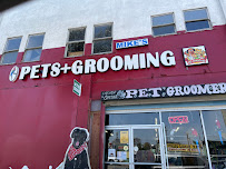 Mike's Pet Store and pet grooming - Photo 2 - Car repair in Los Angeles, CA, Los Angeles