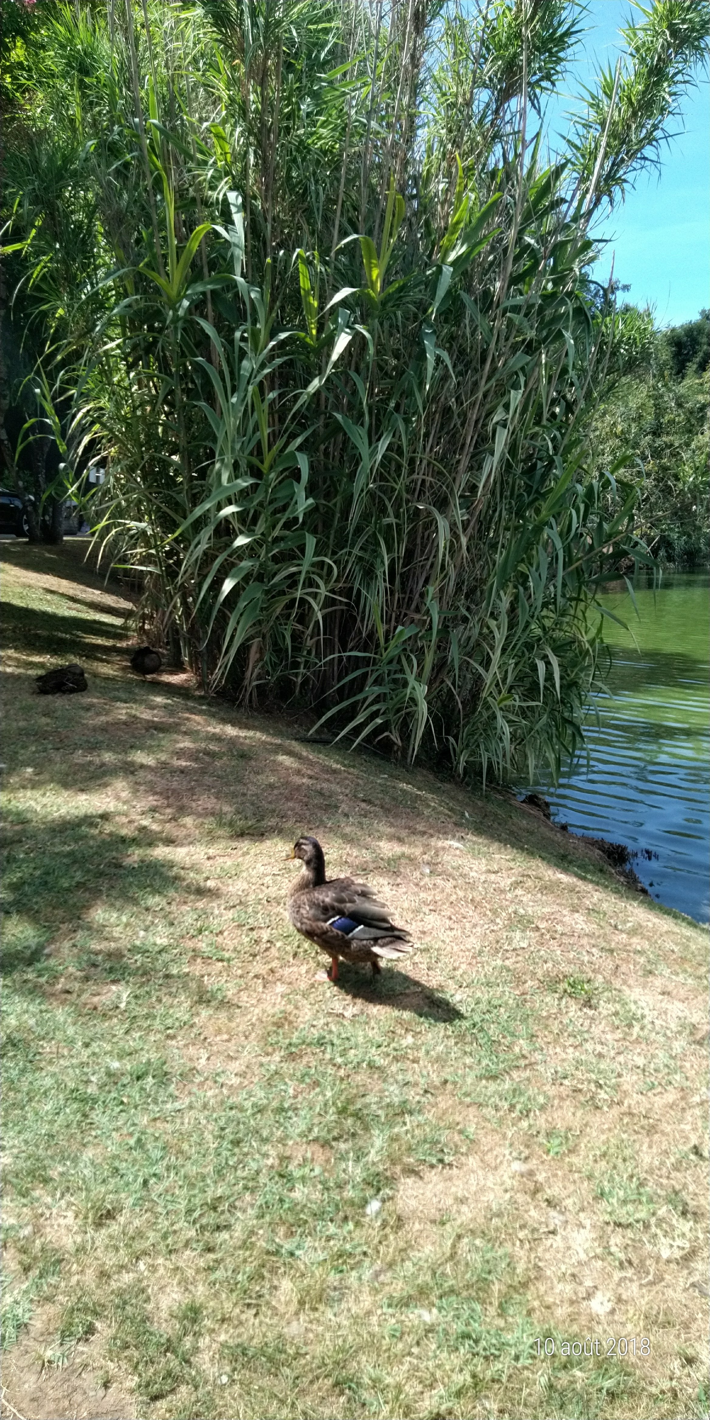 Photo n° 17 de l'avis de Famille.o fait le 13/08/2018 à 15:50