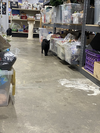 Art Supply Store «Texas Art Asylum», reviews and photos, 1719 Live Oak St, Houston, TX 77003, USA