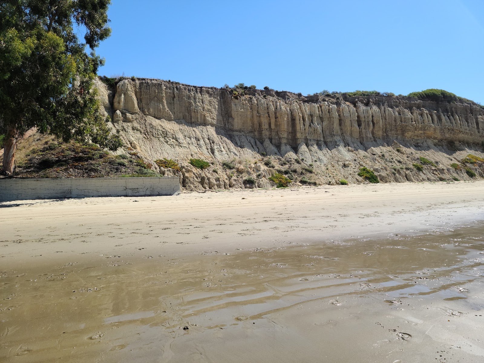 Photo de Loon Point Beach avec rivage droit, long