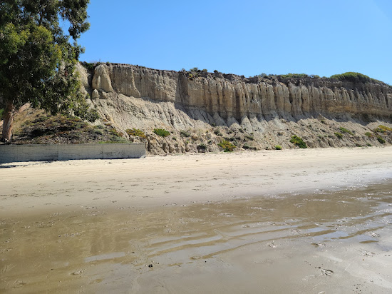 Loon Point Beach