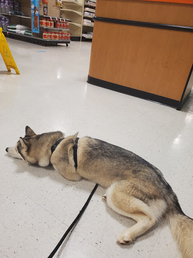 Pet Supply Store «PetSmart», reviews and photos, 5890 Trussville Crossings Pkwy, Birmingham, AL 35235, USA