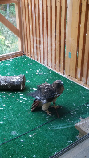 Museum «Harry C Barnes Memorial Nature Center», reviews and photos, 175 Shrub Rd, Bristol, CT 06010, USA