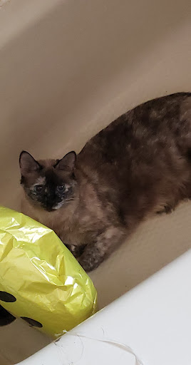 Pet Supply Store «PetSmart», reviews and photos, 7340 W 191st St, Tinley Park, IL 60487, USA