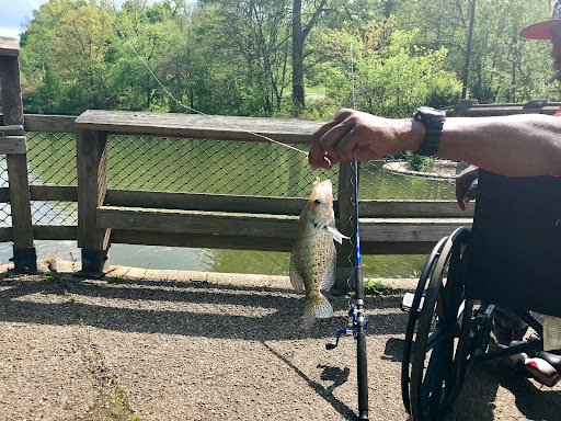 Park «Burnet Woods», reviews and photos, 3251 Brookline Ave, Cincinnati, OH 45220, USA