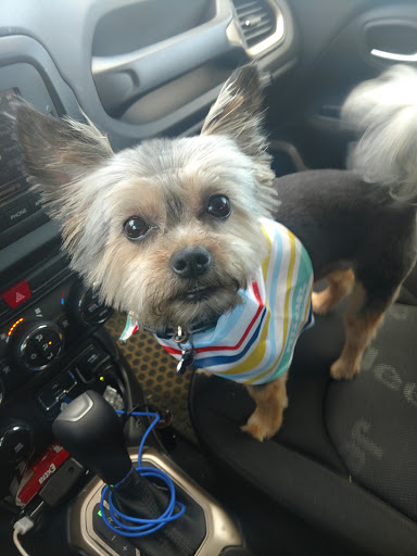 Pet Supply Store «PetSmart», reviews and photos, 5640 Cedar Lake Rd, Minneapolis, MN 55416, USA