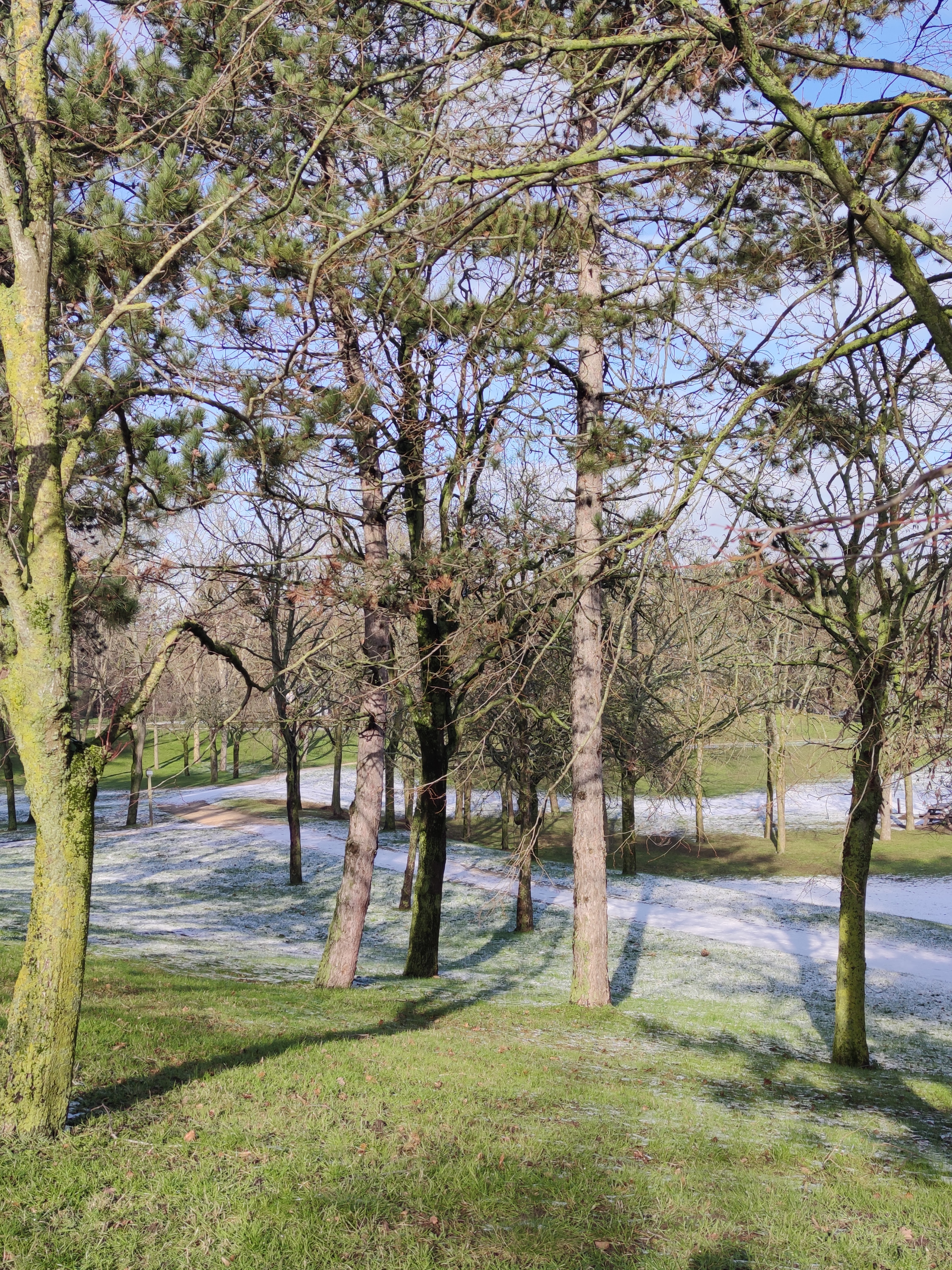 Photo n° 10 de l'avis de Galya.h fait le 20/02/2024 à 13:16