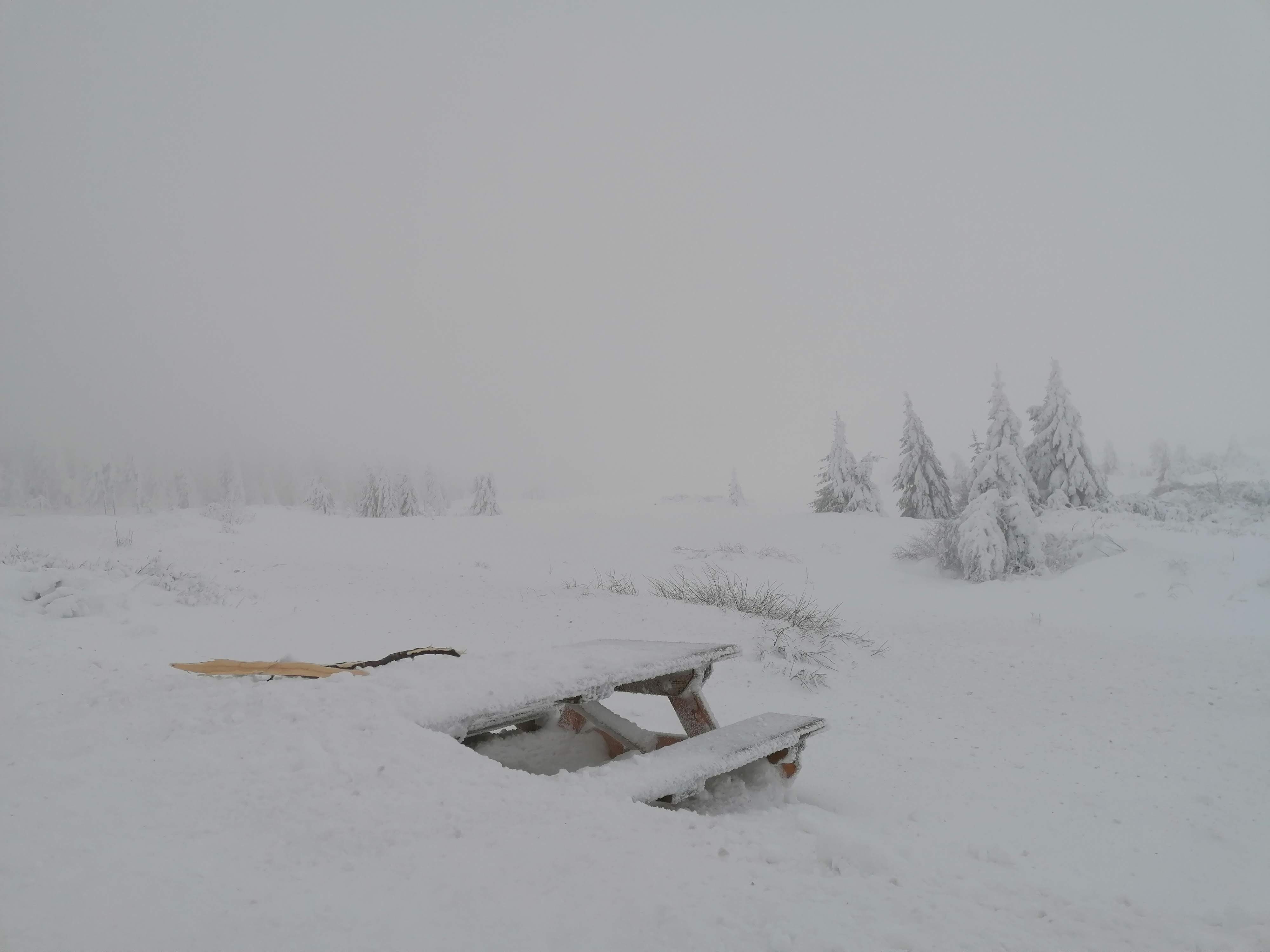 Photo n° 13 de l'avis de sumrak78. fait le 30/12/2020 à 15:39