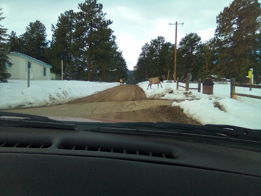 Fishing Store «Blue Quill Angler», reviews and photos, 1532 Bergen Pkwy, Evergreen, CO 80439, USA