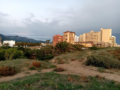 Area autocaravana La Finca en Tabernes de la Valldigna, Valencia