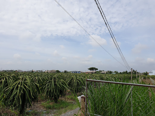 Top 20 cửa hàng minecraft Huyện Châu Thành Long An 2022